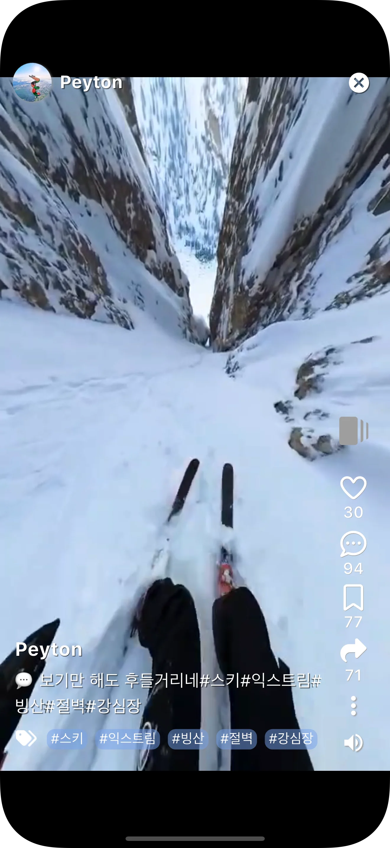 트리 — 나의 스토리가 이어지고, 챌린지로 확장되는 공간